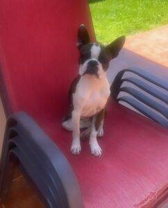 WhatsApp 20Image 202023 03 10 20at 2011.17.07