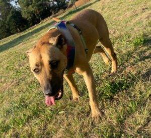 WhatsApp 20Image 202023 04 26 20at 2016.19.57 20 1