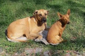 WhatsApp 20Image 202023 04 28 20at 2011.38.17