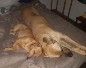 WhatsApp 20Image 202023 04 28 20at 2011.38.19