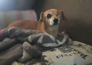 WhatsApp 20Image 202023 07 25 20at 2010.15.15