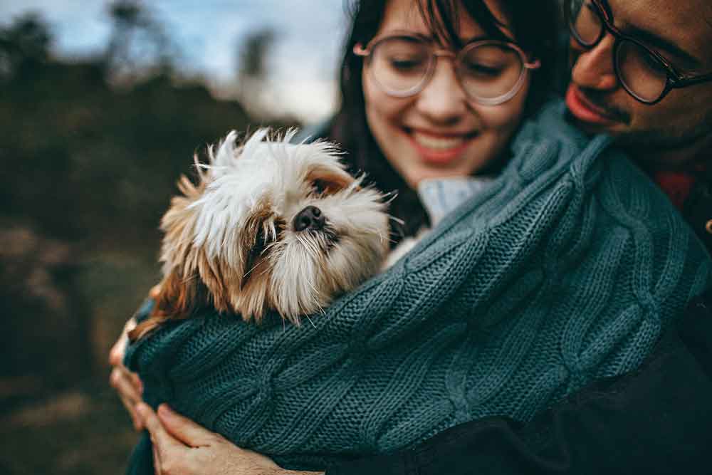 https://unsplash.com/photos/0SJuDFU4DxU couple holding a newly adopted small dog in their arms. The dog is being loved.