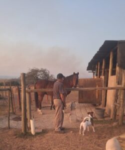 Success Stories 9 Success Story: Alfie goes to the Farm