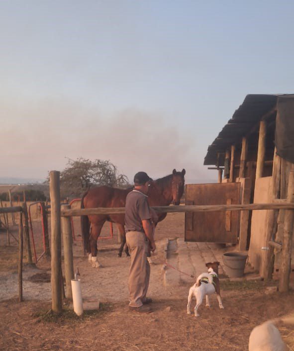 Success Story ~ Alfie Goes to the Farm