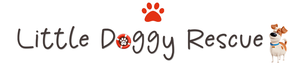 #090 ALREADY ADOPTED - GP Pretoria Adopt a Basset Hound, Chloé & Ginger 10 Little Doggy Rescue Logo footer