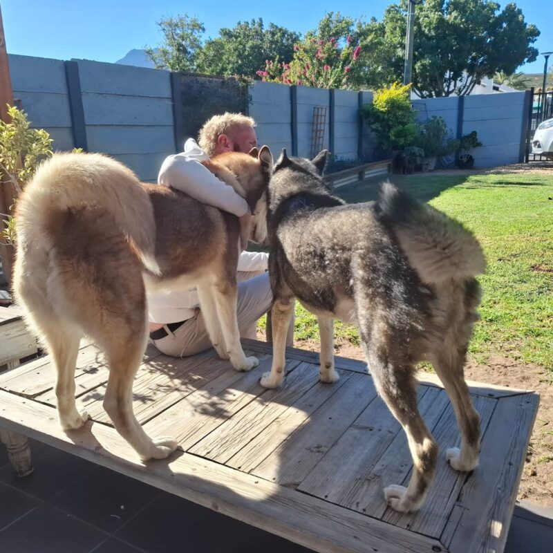 Success Story: Indigo