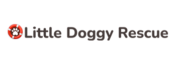 #222 Gauteng, Centurion ~ Adopt Mixed Breed Males in Centurion 14 Little Doggy Rescue