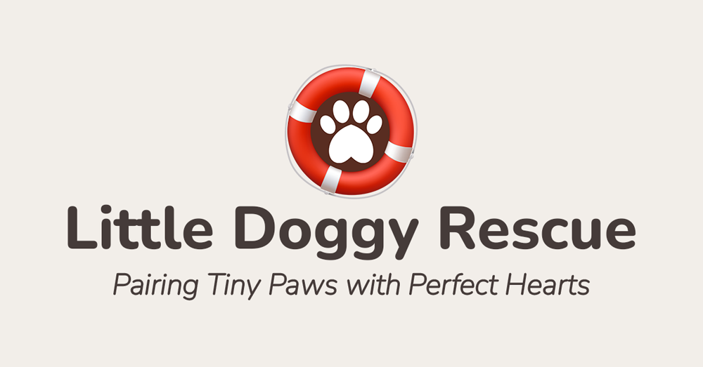 Little Doggy Rescue - Dog Owner Guides and Resources for South Africa