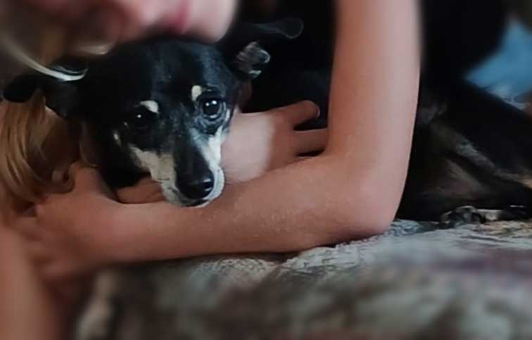 senior Rat-Cha loves kids