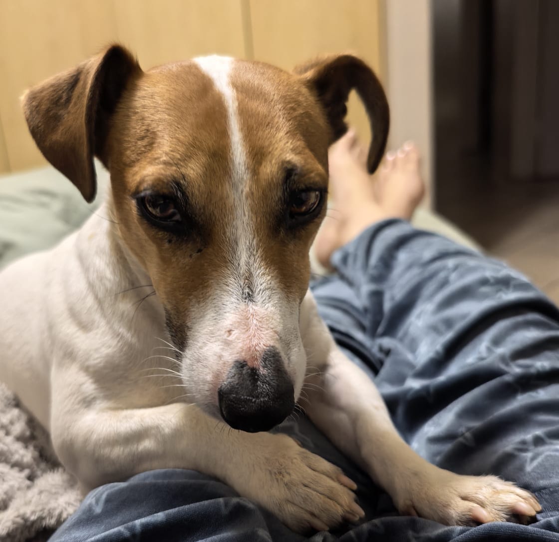 #272 – ADOPTED – A New Beginning for Lucky