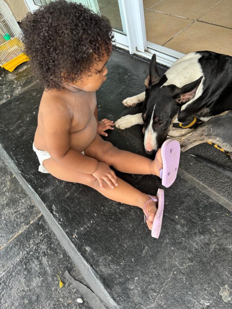 Brutus, Bulldog kind to children