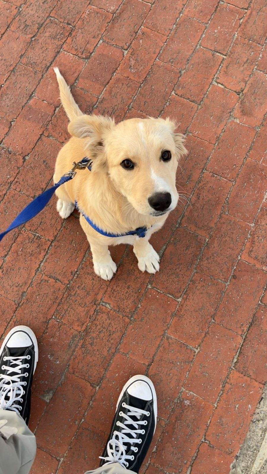 #289 – George WC – Adopt No Name Lab