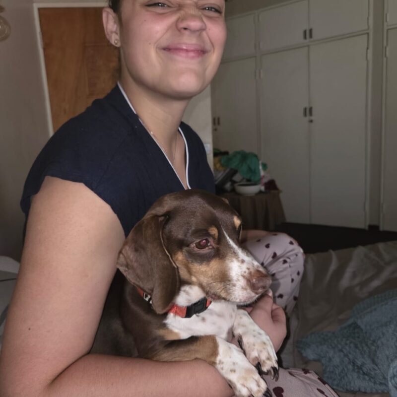 Zulu Piebald Dachshund, Fourways needs to be adopted