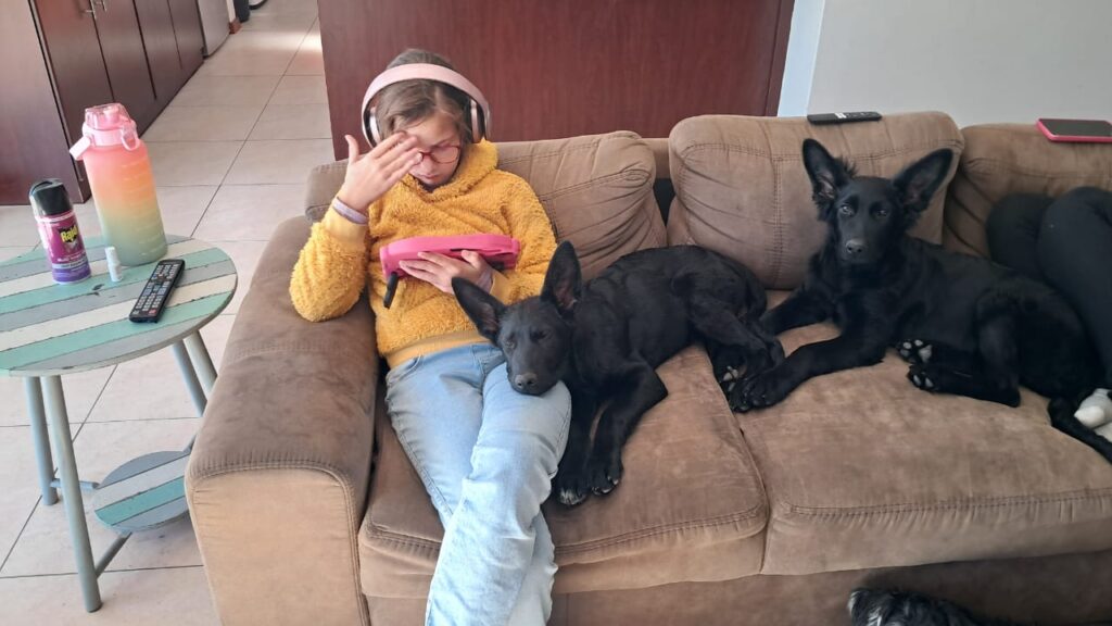 Kaiser and Raven  share their love with human sister that has special needs (Autism)