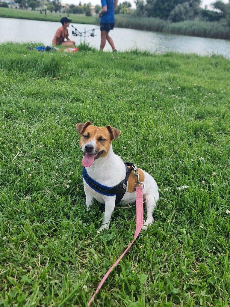 Jessie enjoys outings to the park