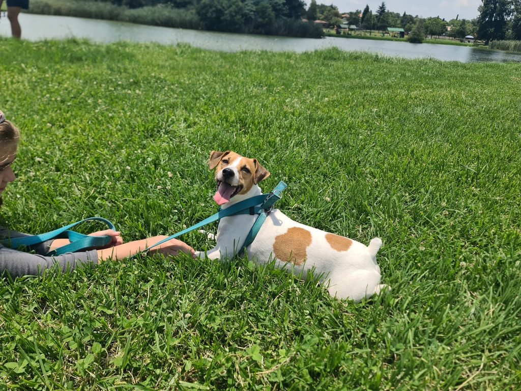 Tony loves the park 
